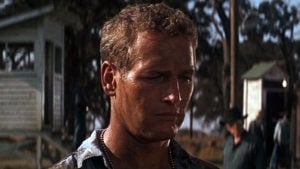 Cinema ’67 Revisited: Cool Hand Luke