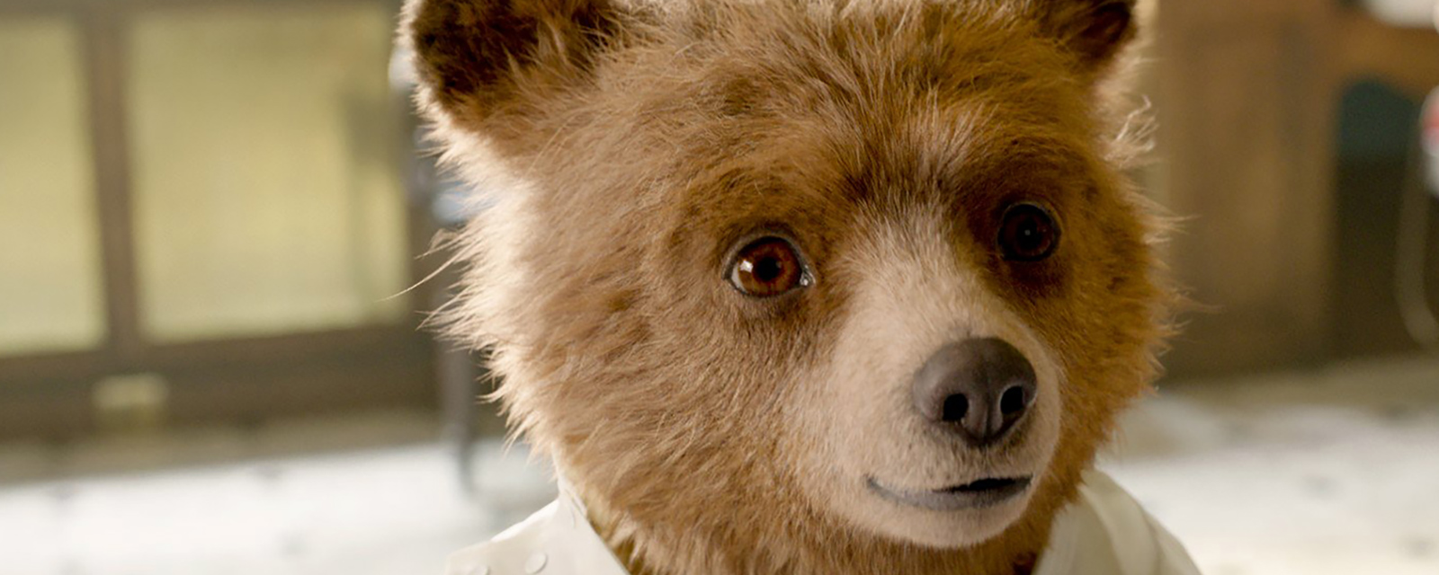 The Bear is back: secrets of the Paddington sequel
