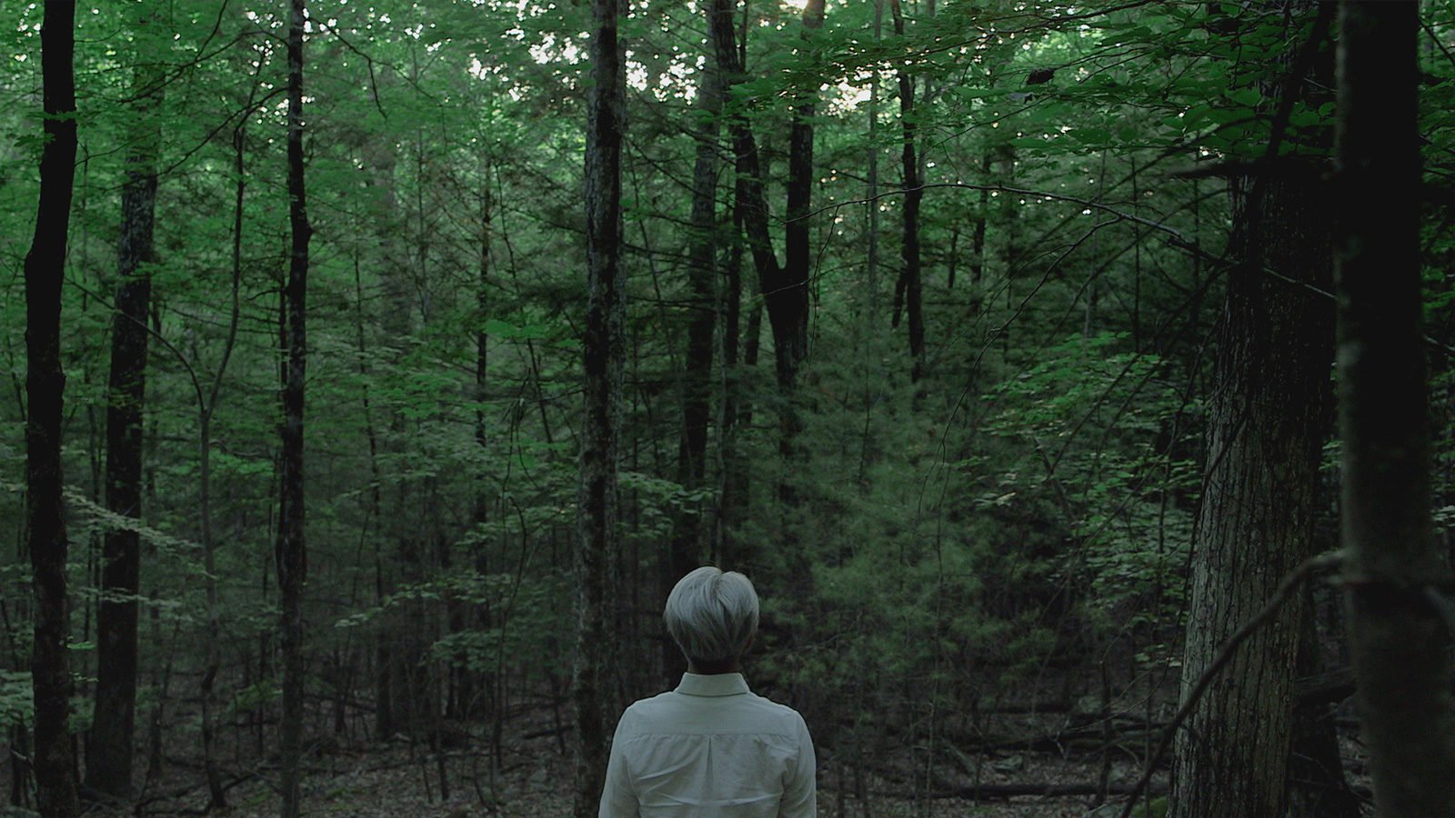 Film of the Week: Ryuichi Sakamoto: Coda